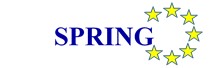 SPRING LOGO